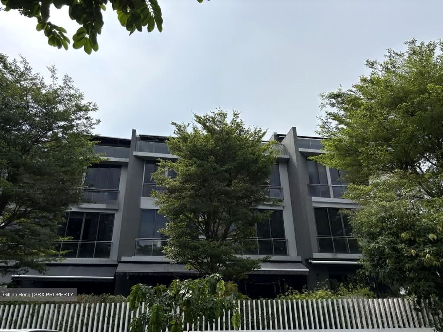 Palacio (D15), Terrace #568888021